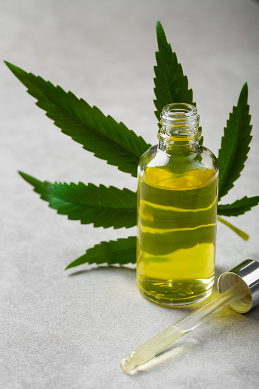 Pessoa recebendo orientação responsável sobre óleo de cannabis medicinal da Santa Planta Uruguay