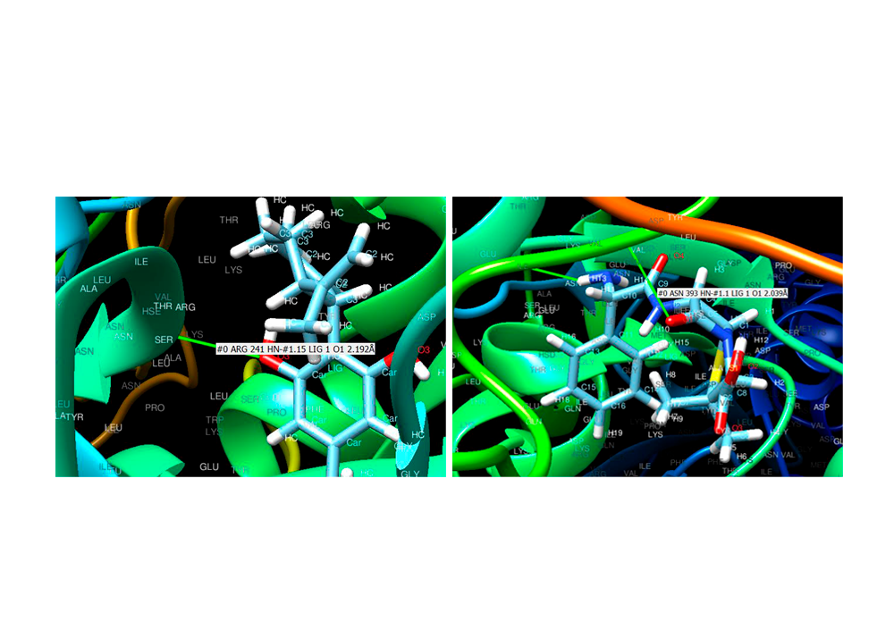 Ligação com proteína PBP do canabidiol (A) e ampicilina (B)