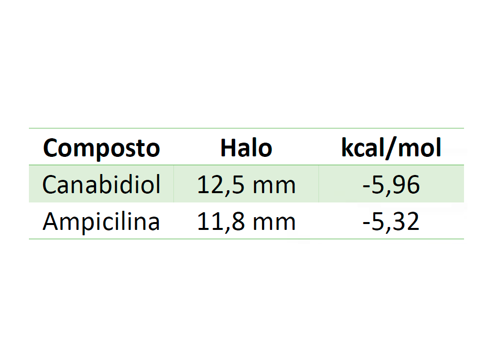 Potencial antimicrobiano do canabidiol comparado ao antibiótico comercial ampicilina