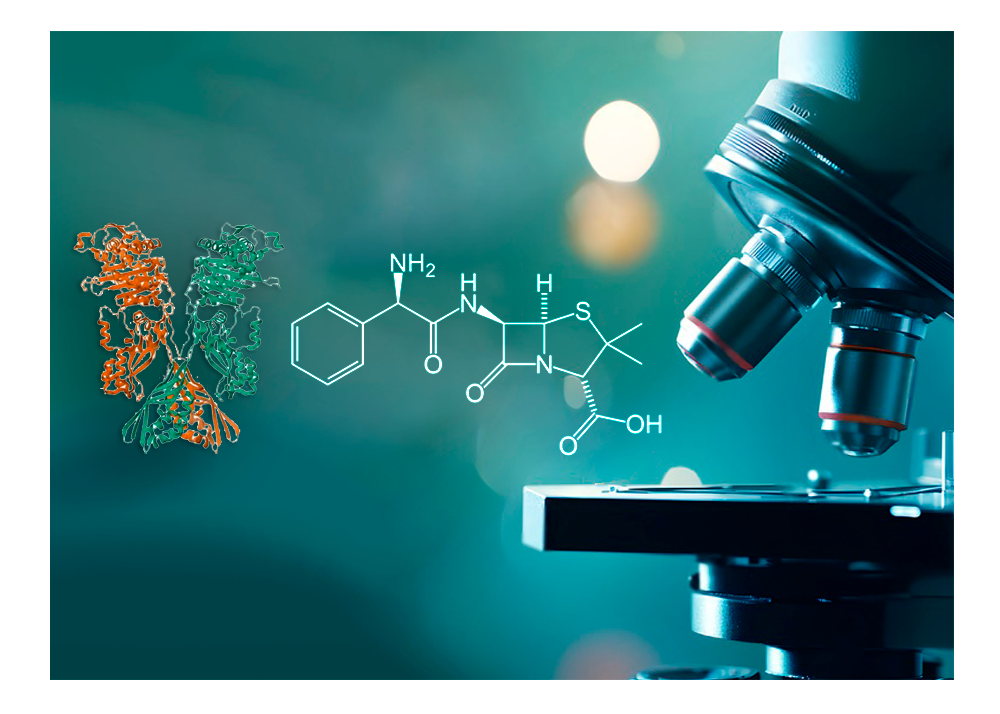 Avaliação in silico da ligação do canabidiol com proteína PBP