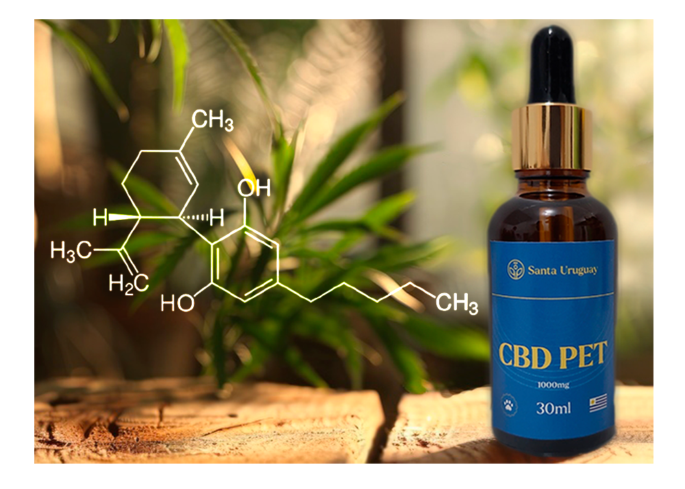 Composição do óleo rico em canabidiol, CBD Pet